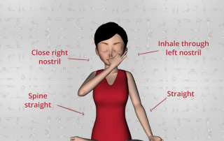 Chandra Bhedana: left nostril yogic breathing
