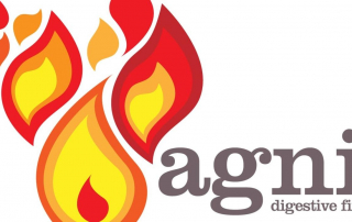 Role of Agni in Ayurveda