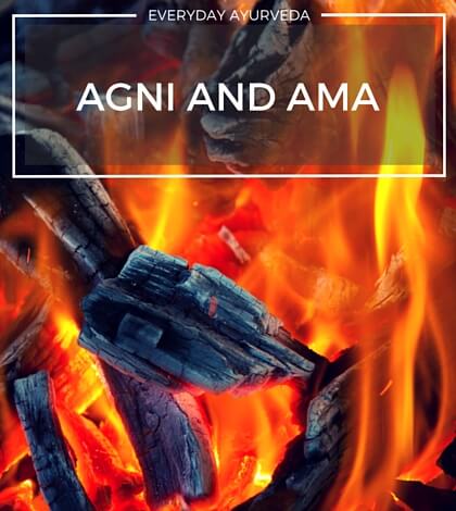 Agni and Ama