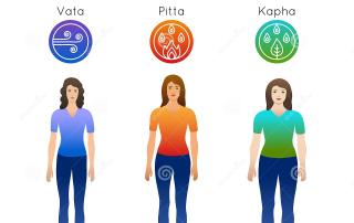 Ayurveda Body Types
