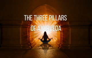 Three Pillars of Health according to Ayurveda
