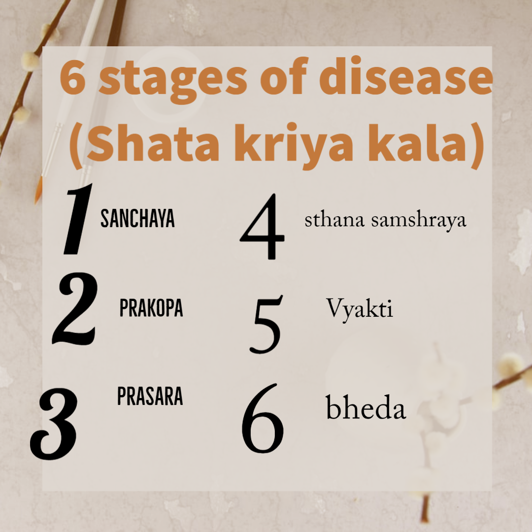The six stages in the process of disease formation