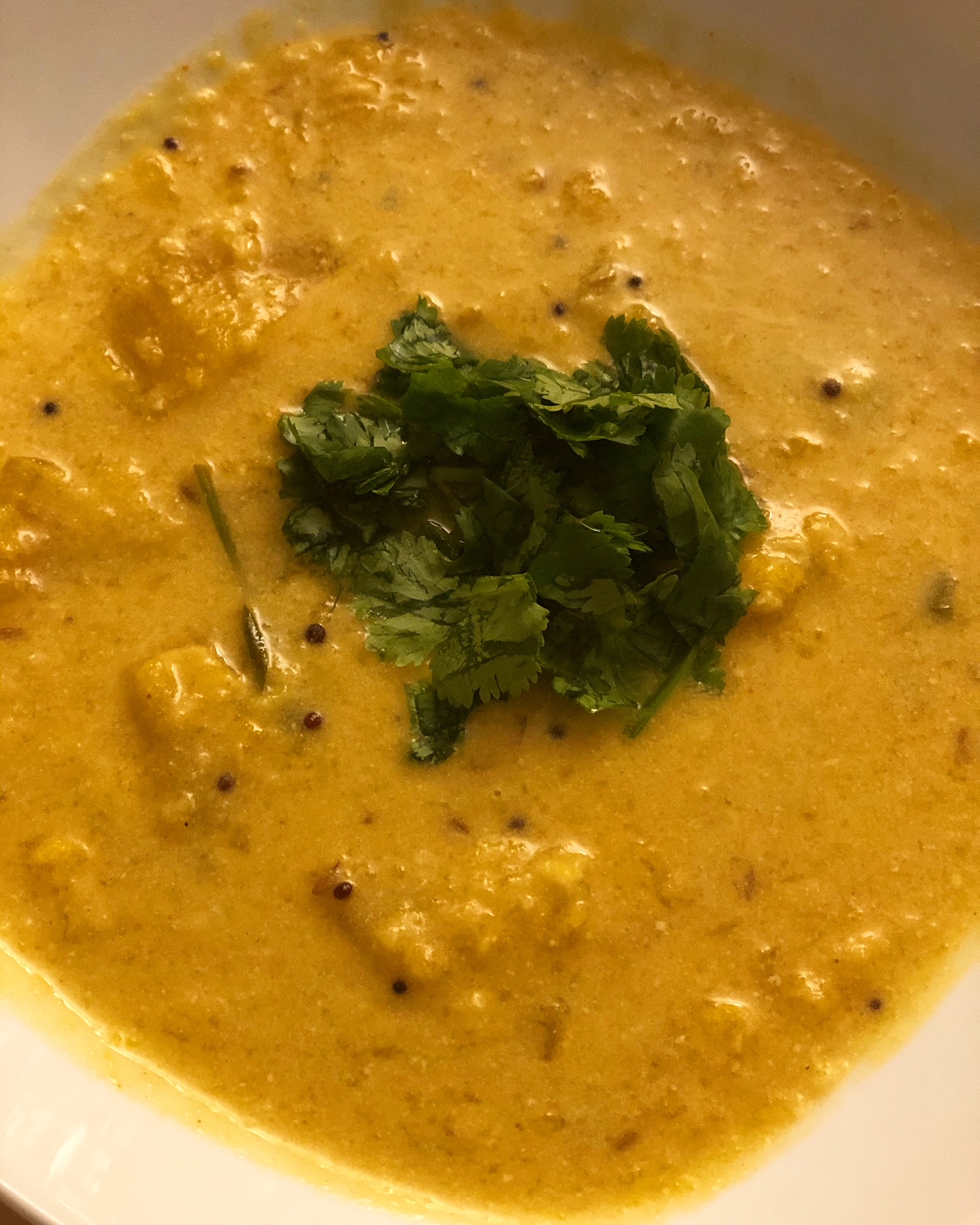 Ayurvedic Recipe for Lentil Soup. Copyright.